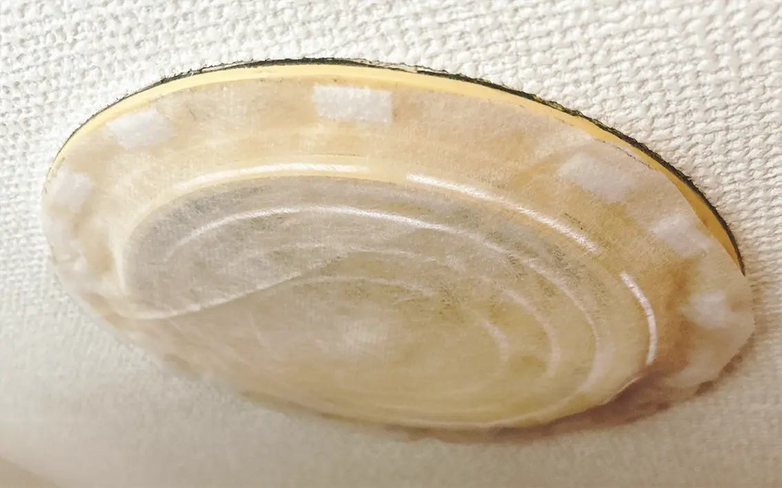 通気口にフィルターを貼った写真（撮影：grape編集部）