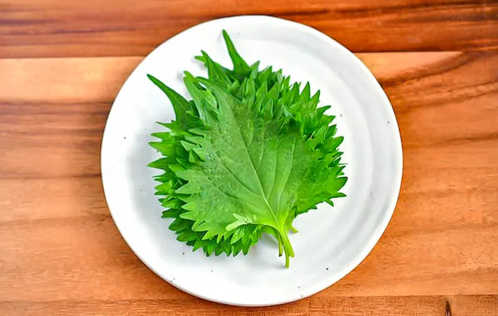 大葉の写真（撮影：小泉明代）