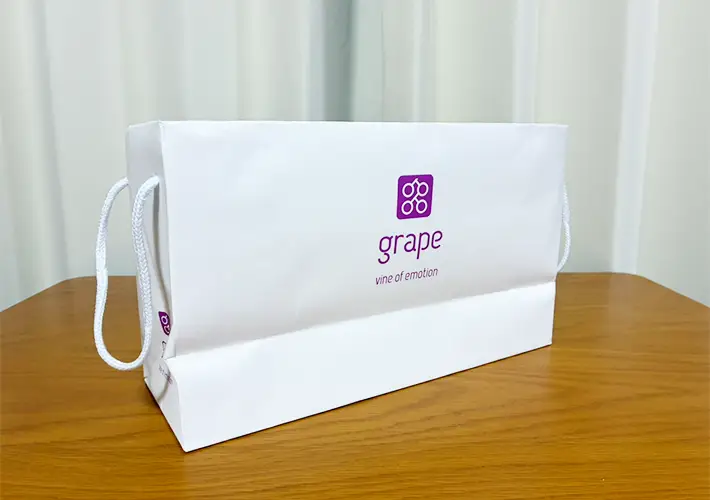 紙袋の活用写真（撮影：grapeライフハック編集部）