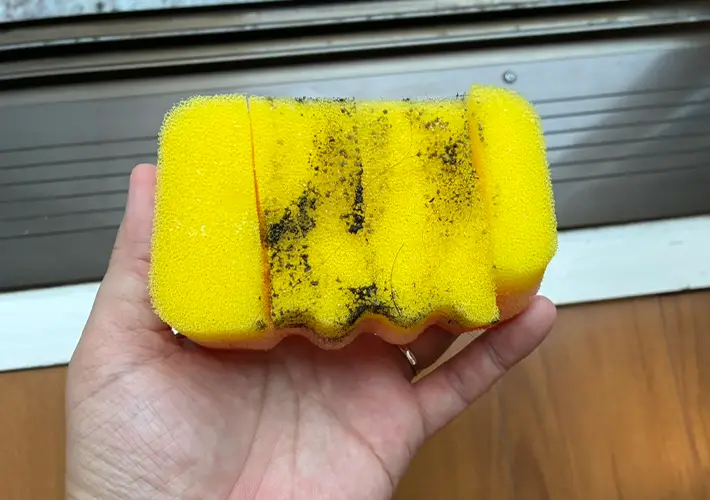 スポンジの活用写真（撮影：grapeライフハック編集部）