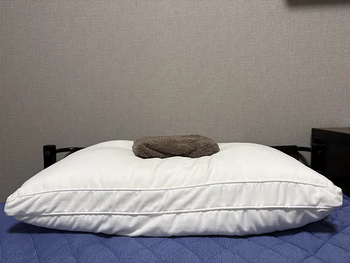 ペットシーツの画像