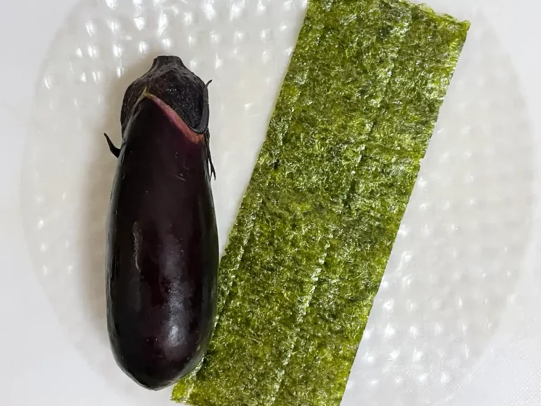 ライスペーパー、ナス、焼き海苔の写真（撮影：grapeフード編集部）