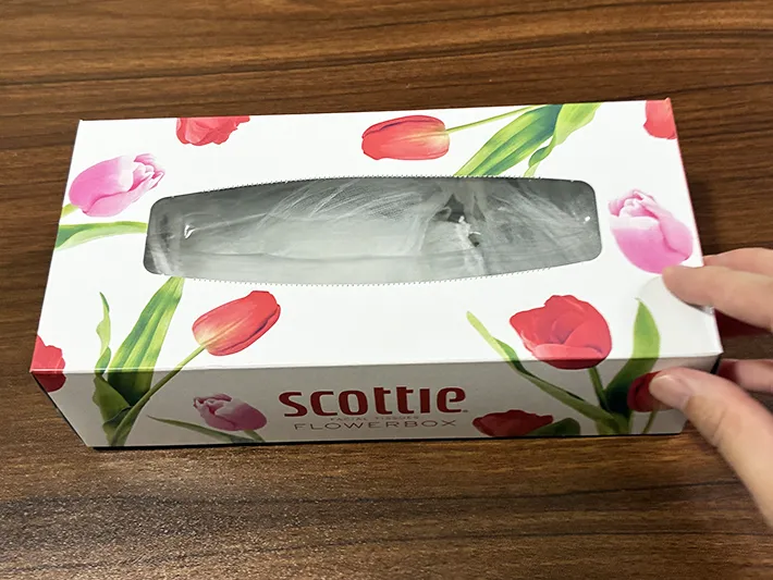 水切りネットを入れたティッシュの空き箱（撮影：grapeライフハック編集部）