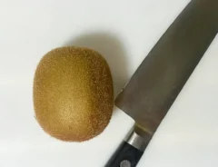 キウイの写真（撮影：grapeフード編集部）