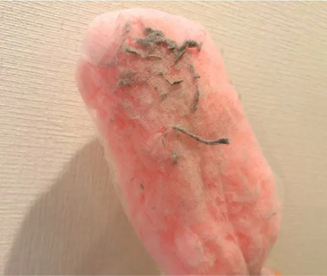 水切りネットについたホコリの写真（撮影：grapeライフハック編集部）