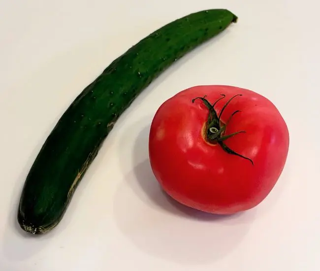 キュウリとトマト（撮影：grapeフード編集部）