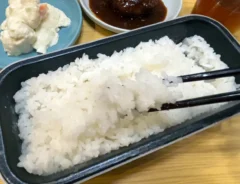 弁当箱みたいな炊飯器って？　1人分をサッと炊ける商品を使ったら…「義母も納得の炊き立て感」「会社用に2台目」