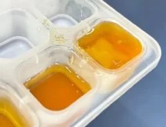 凍らせたハチミツ