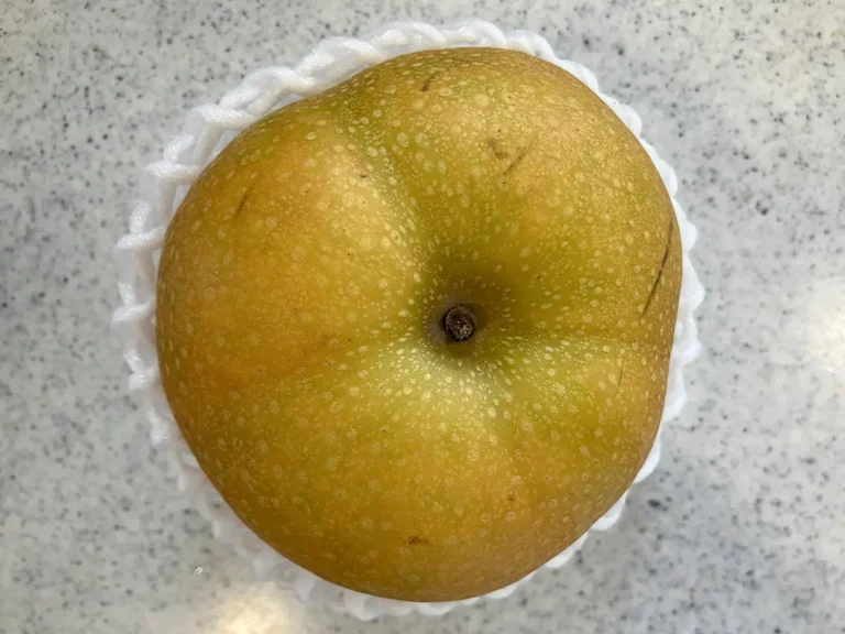 梨(撮影:grapeフード編集部)