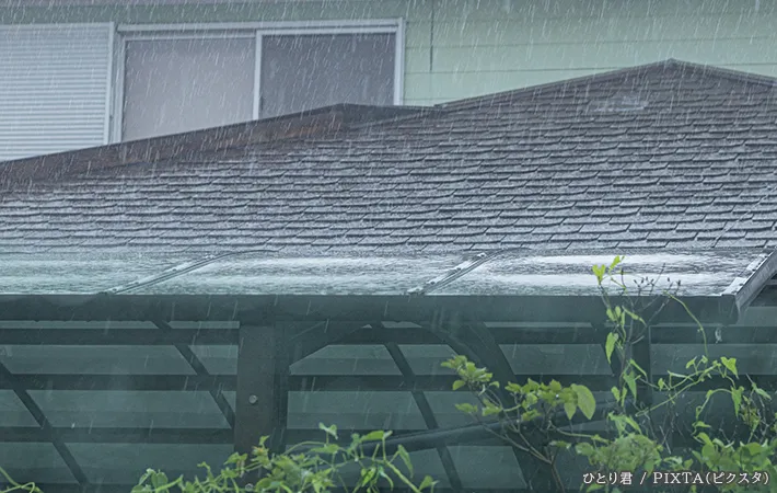 雨の写真