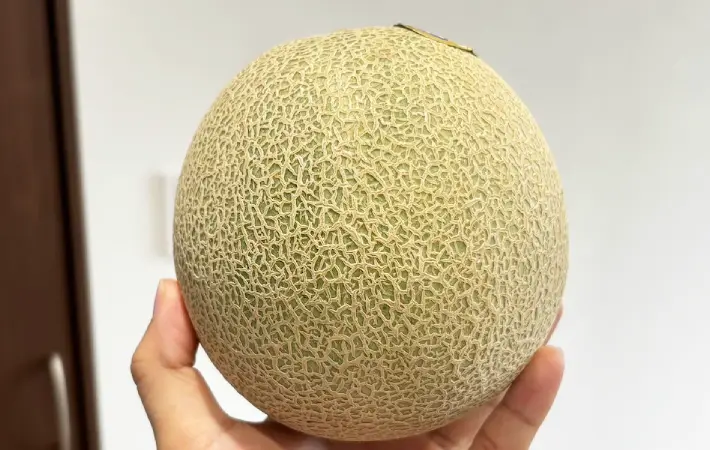 メロンの画像（撮影：キジカク）