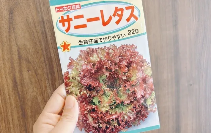 『サニーレタスの種』の写真（撮影：キジカク）