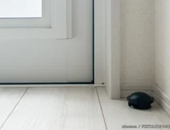 駆除エサ剤の写真