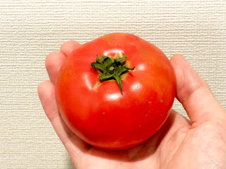 トマトの画像（撮影：grapeフード編集部）