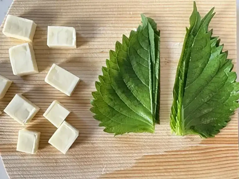 ワンタンの包み揚げ