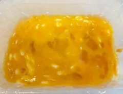 ツナマヨ玉子焼き