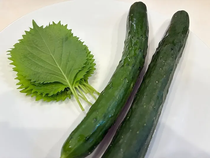 キュウリと大葉の画像（撮影：エニママ）