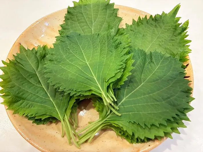 大葉の画像（撮影：エニママ）