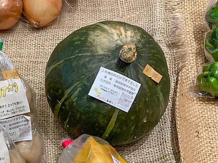 カボチャの写真