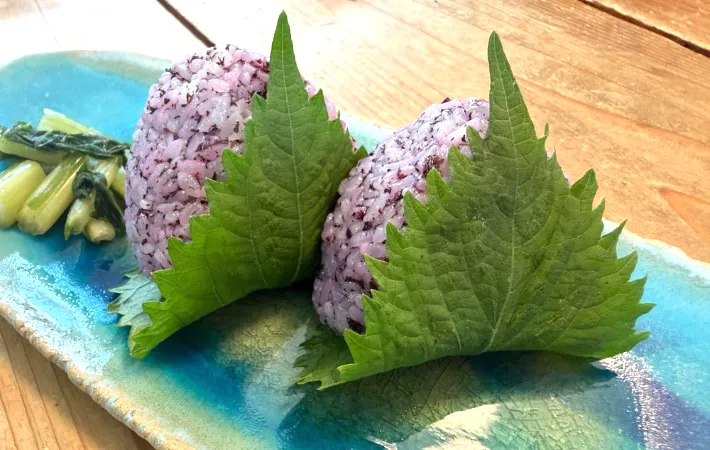 おにぎり寄りの画像（撮影：エニママ）