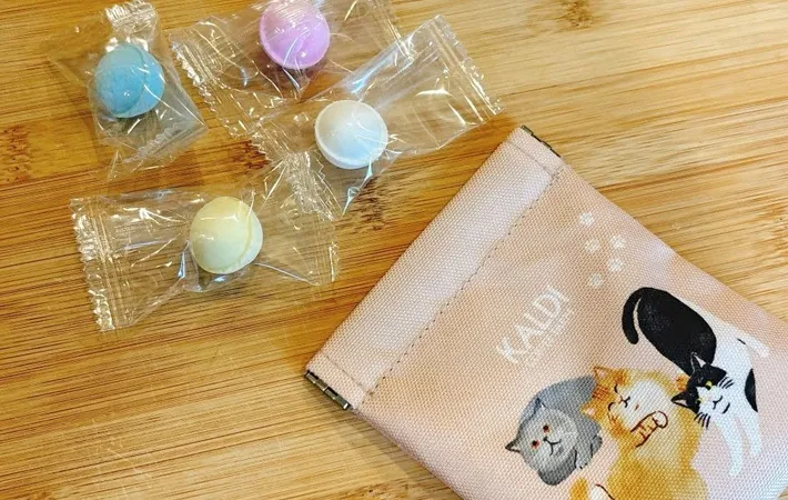 『ぱっちんポーチ（にゃつver）』の使用写真（撮影：キジカク）