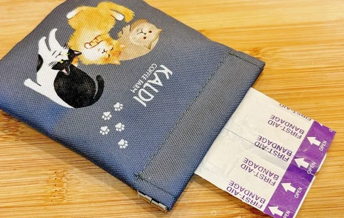 『ぱっちんポーチ（にゃつver）』の使用写真（撮影：キジカク）