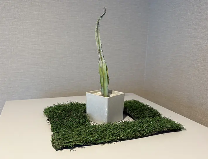 人工芝の画像