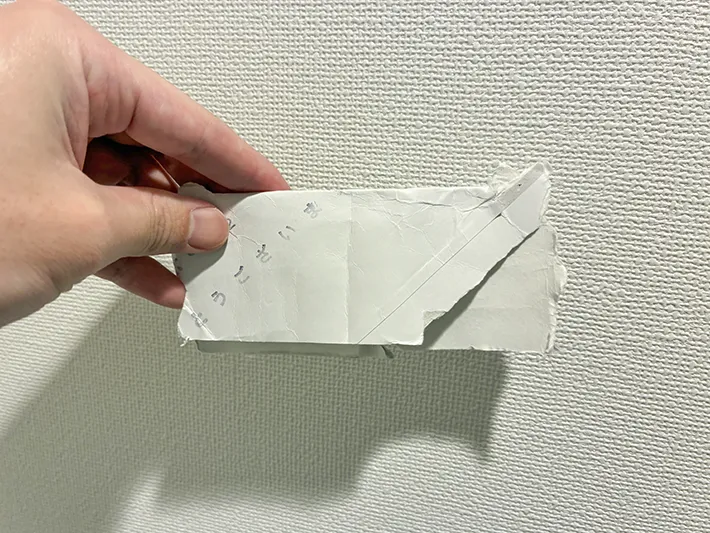 広げた二重にしたトイレットペーパーの芯（撮影：grapeライフハック編集部）