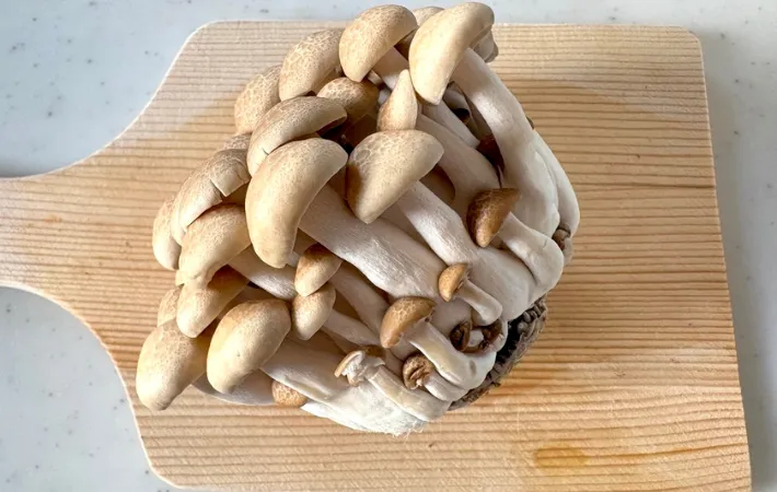 しめじの画像（撮影：エニママ）