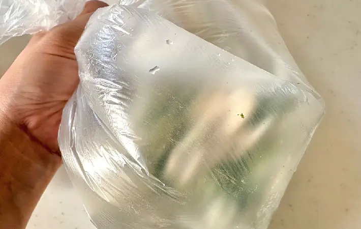 空気を含むようにしてポリ袋の口を閉じて持った画像（撮影：エニママ）