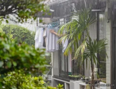 『豪雨　慌てて洗濯物を取り込む主婦』の写真