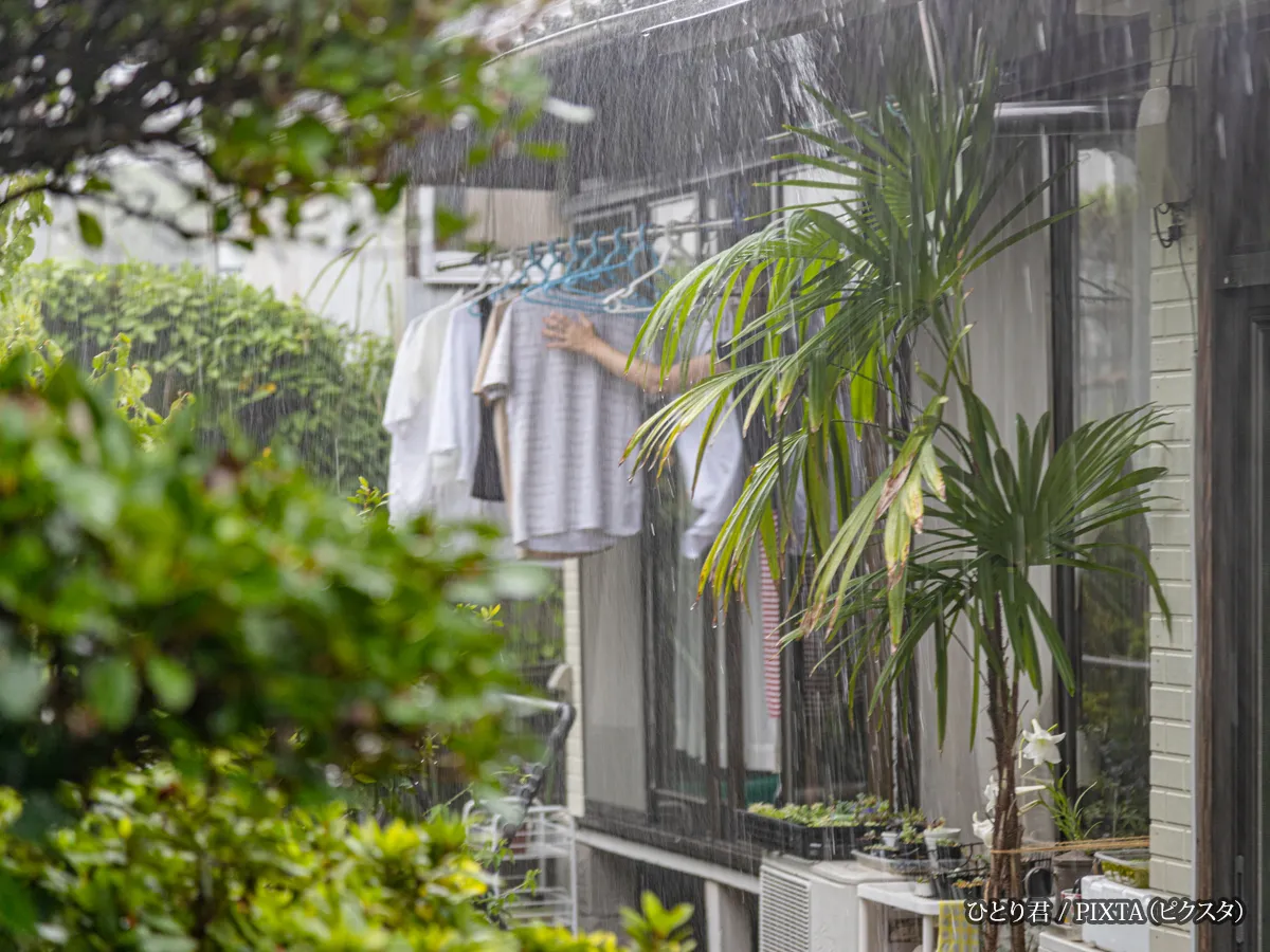 『豪雨 慌てて洗濯物を取り込む主婦』の写真