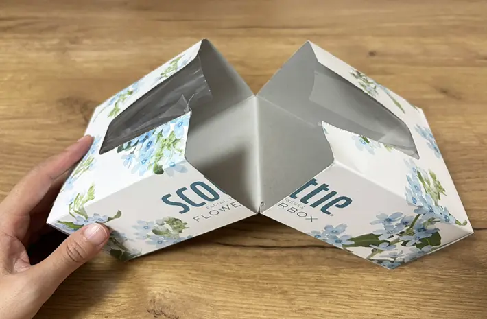 カットしたティッシュ箱の断面の画像（撮影：grapeライフハック編集部）