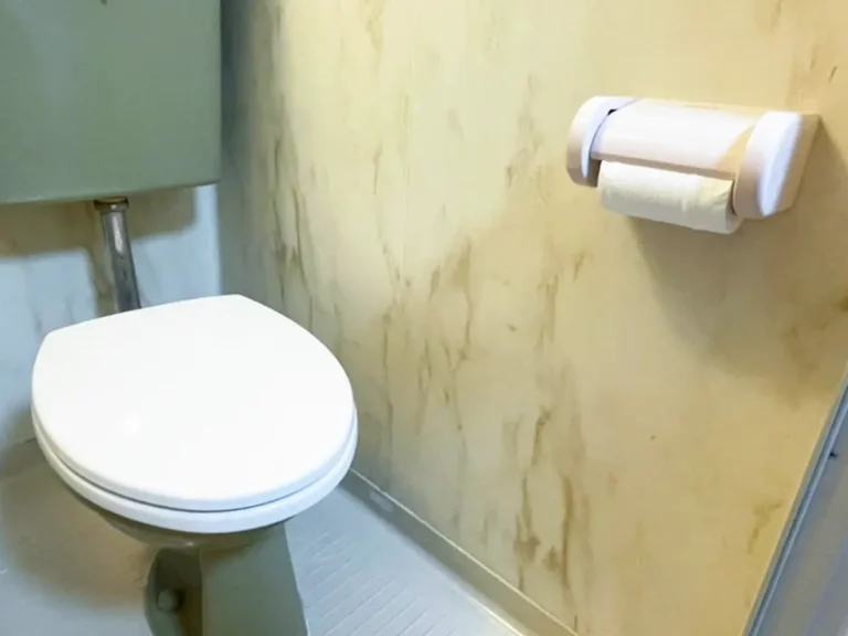 トイレの写真ブックエンドで作ったトイレットペーパー置き場の写真(撮影:grapeライフハック編集部)