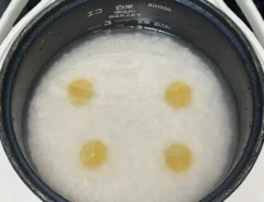 ご飯を炊く写真（撮影：grapeフード編集部）