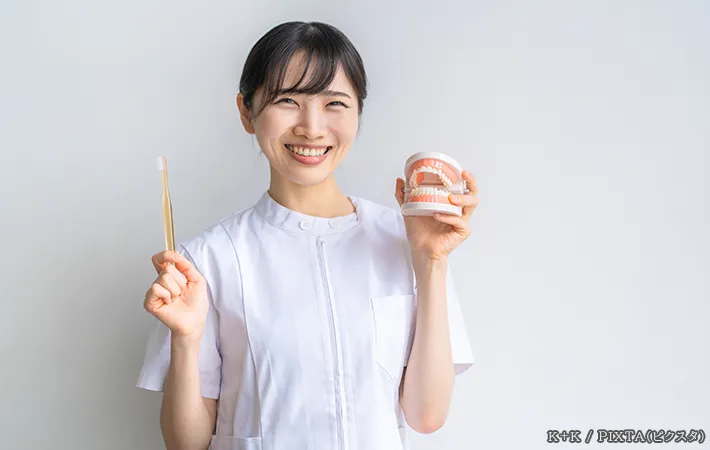 歯ブラシを持った女性の写真