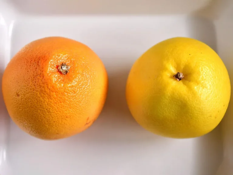 赤色と白色のグレープフルーツの写真（撮影：小泉明代）
