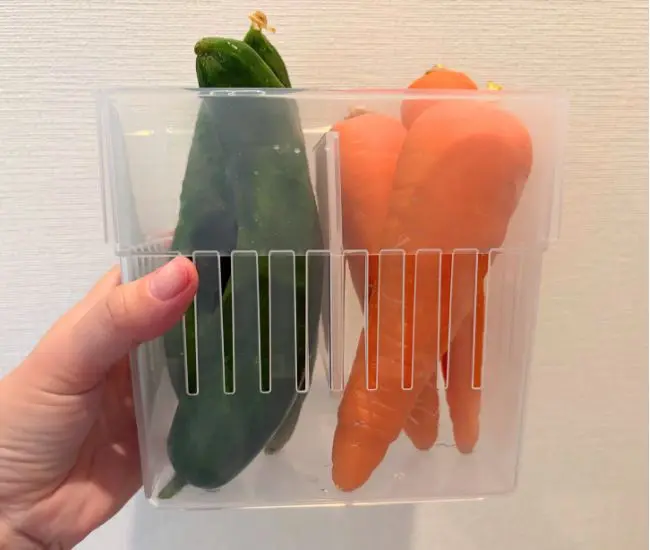 野菜を立てて収納した様子（撮影：grapeライフハック編集部）