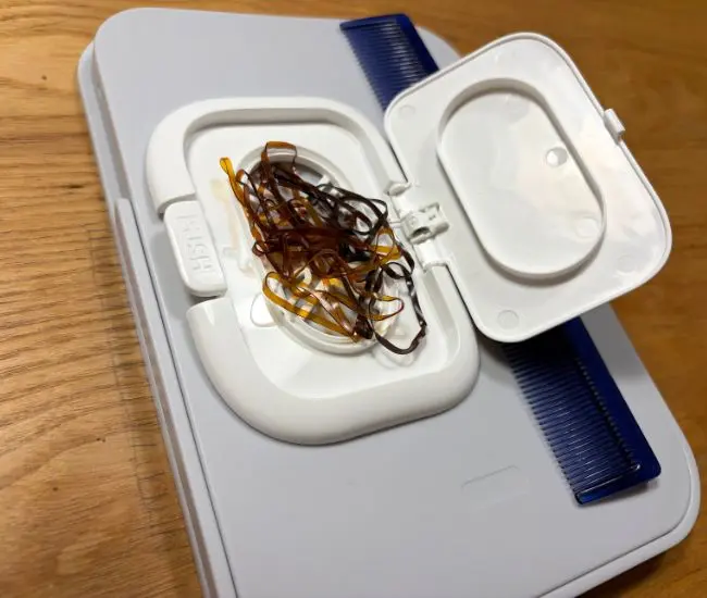 蓋を開けてゴムを入れた様子（撮影：grapeライフハック編集部）