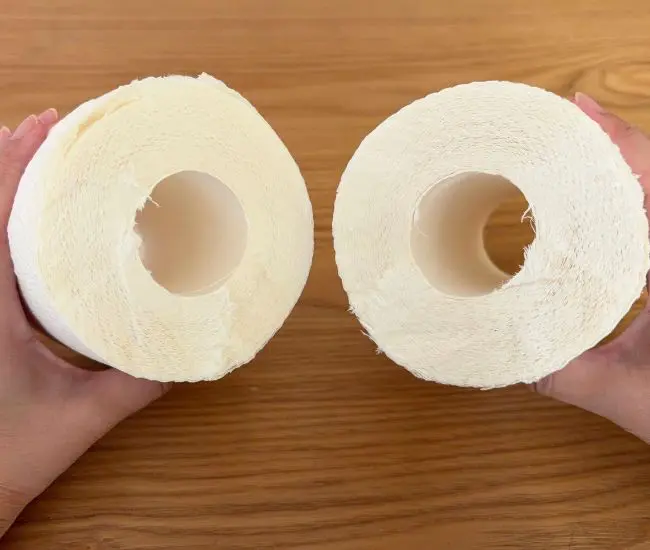 キッチンペーパーを半分にカットした様子（撮影：grapeライフハック編集部）