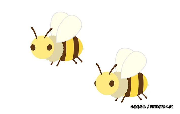ハチの活動時期はいつからいつまで？