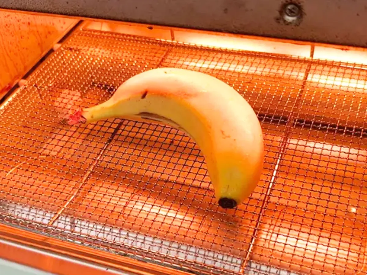 バナナの画像（撮影：キジカク）