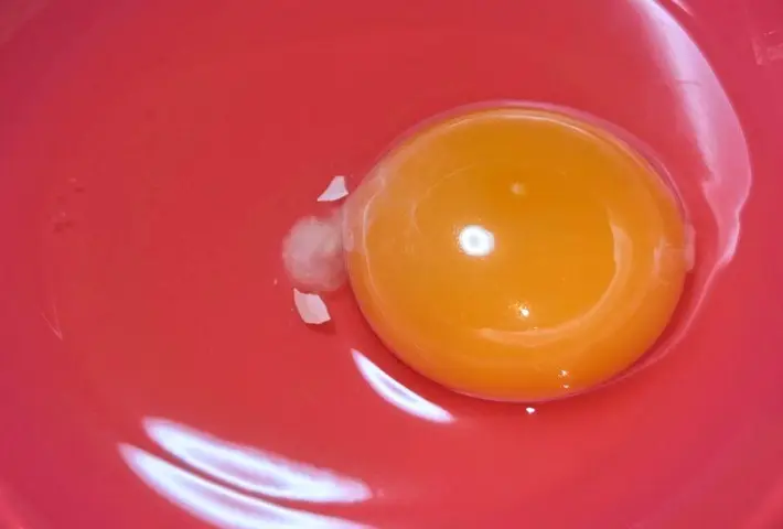 卵の中に殻が入っている画像（撮影：キジカク）