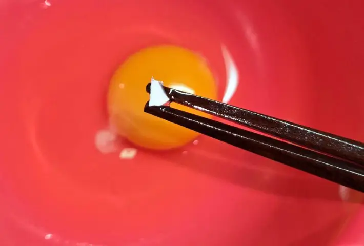 １つ目の殻が取れた画像（撮影：キジカク）
