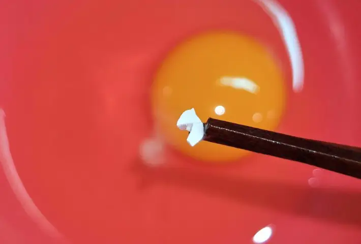 ２つ目の殻が取れた画像（撮影：キジカク）