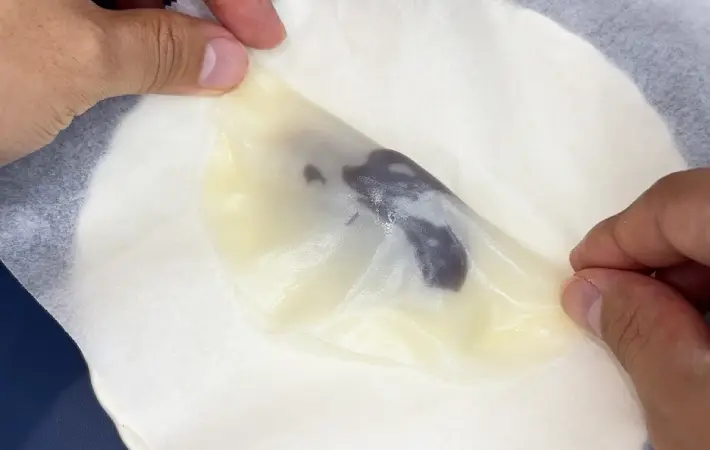 あんこを包んでいる画像（撮影：キジカク）