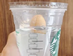 『アボカドの種とフラペチーノカップ』の写真（撮影：キジカク）