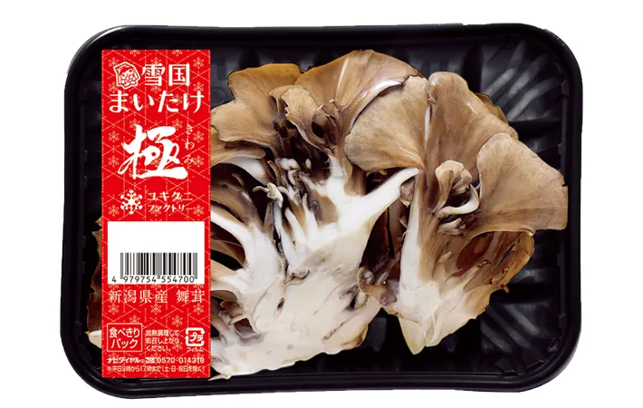 マイタケの写真