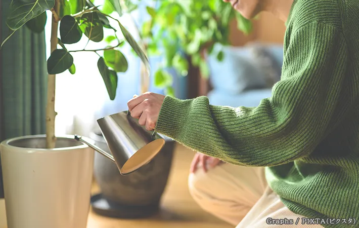 植物に水やりをする写真