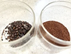 コーヒーの豆（撮影：grapeフード編集部）